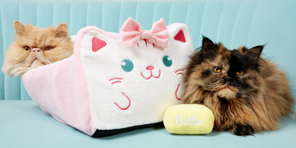 ToastyCat The Original Bread Box Bed for your cat ToastyCat Online